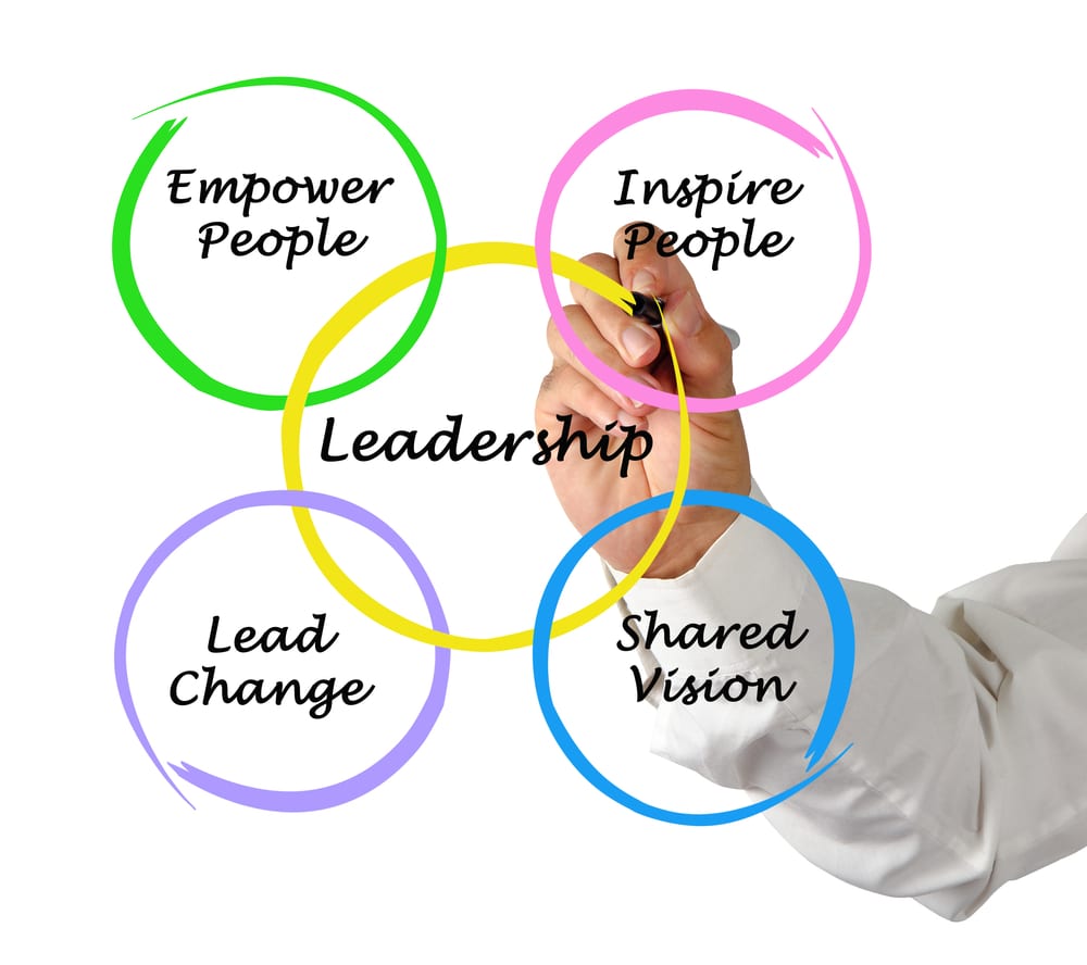 Health leadership strategies